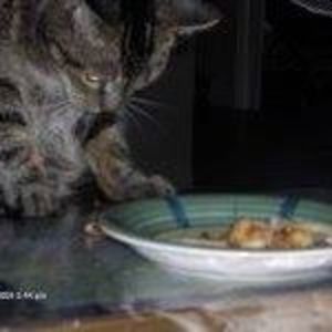 Meet your Posher, Audrey